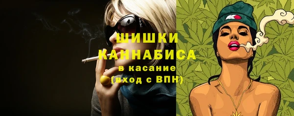 твердый Аркадак