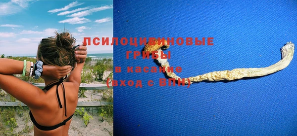 гашик Балабаново