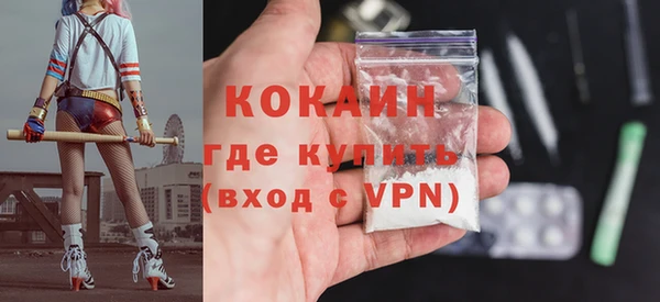 твердый Аркадак