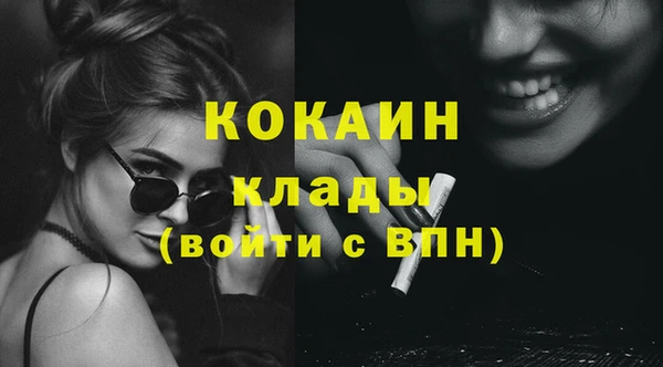 твердый Аркадак
