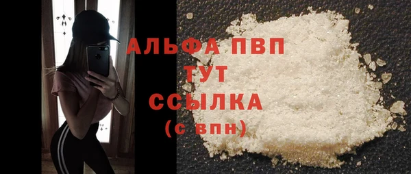 мяу мяу мука Баксан