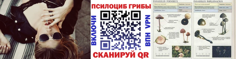Галлюциногенные грибы мухоморы shop состав Верея