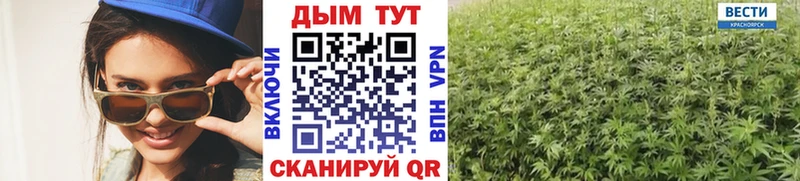 где купить   Верея  Бошки марихуана ГИДРОПОН 